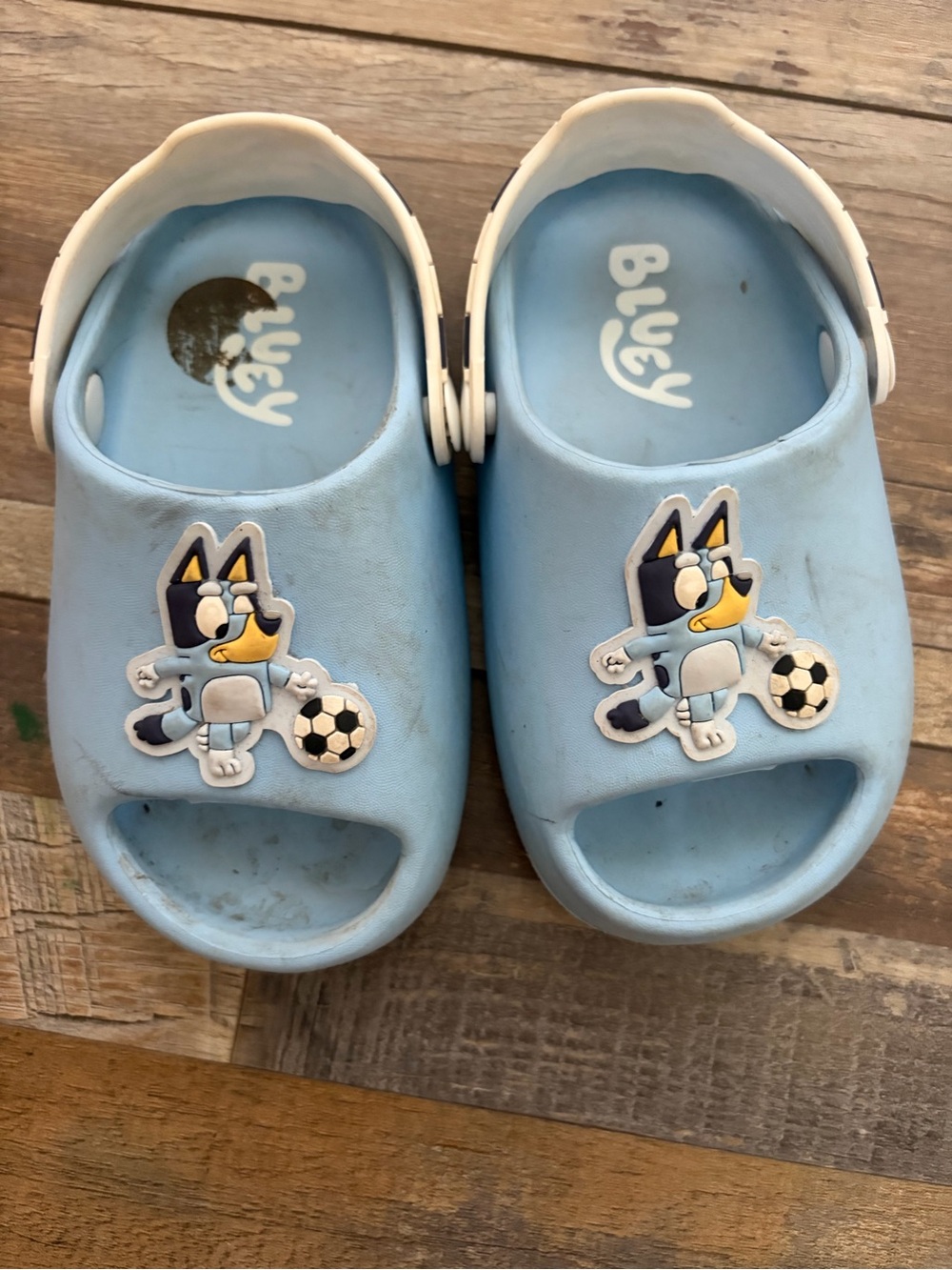 Bluey sandals
